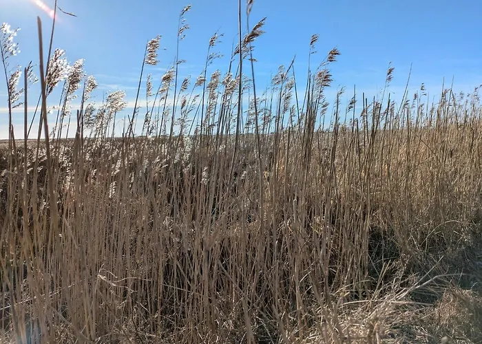 Дом отдыха Charming Family Retreat-by Traum